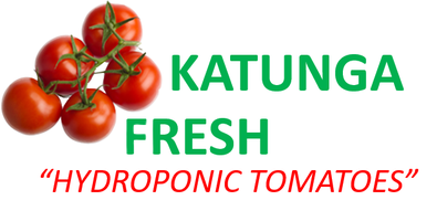 Katunga Fresh